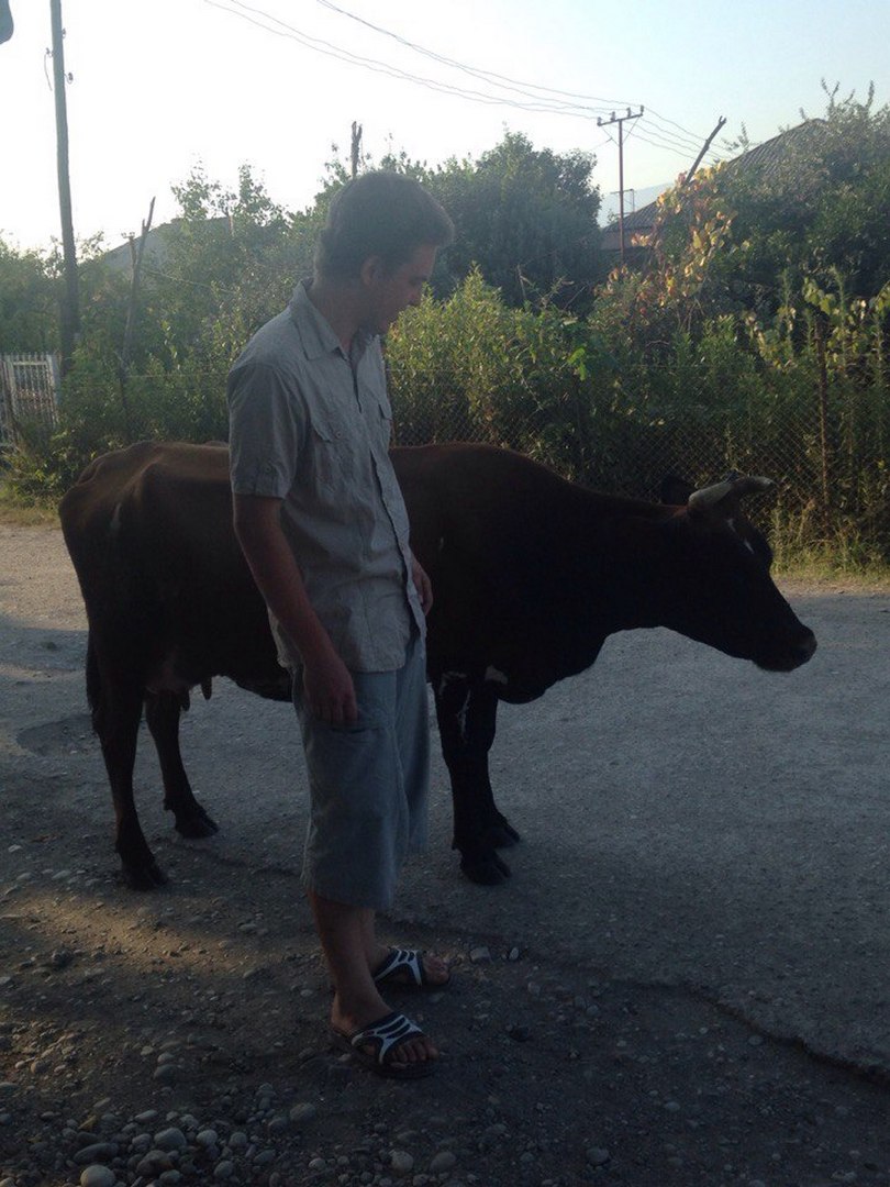 With a heifer in Abkhazia